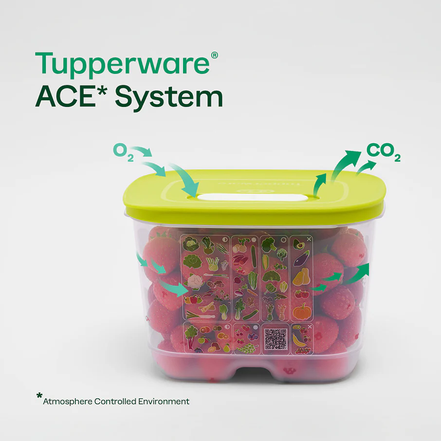 Tupperware® FridgeSmart® Medium | Produce Storage Container With Lid - Image 3